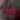 Embroidery detail pink flame hoodie