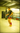 Video of man in muay thai gear training