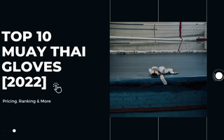 Top 10 Muay Thai Gloves 2022